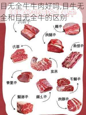 目无全牛牛肉好吗,目牛无全和目无全牛的区别