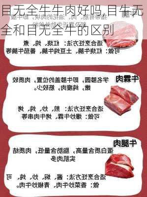 目无全牛牛肉好吗,目牛无全和目无全牛的区别