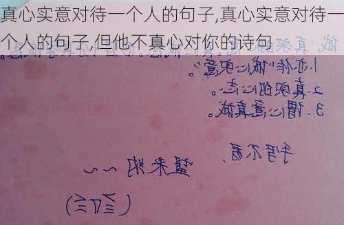 真心实意对待一个人的句子,真心实意对待一个人的句子,但他不真心对你的诗句