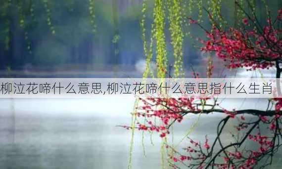 柳泣花啼什么意思,柳泣花啼什么意思指什么生肖