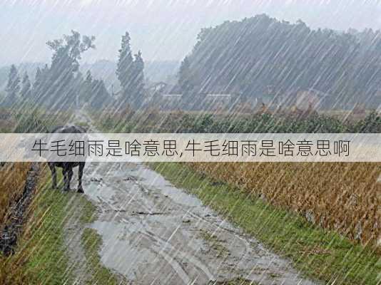 牛毛细雨是啥意思,牛毛细雨是啥意思啊