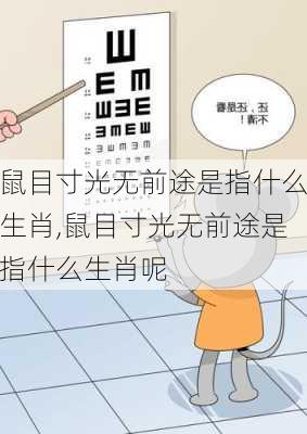 鼠目寸光无前途是指什么生肖,鼠目寸光无前途是指什么生肖呢