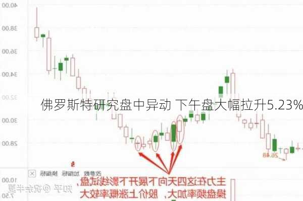 佛罗斯特研究盘中异动 下午盘大幅拉升5.23%