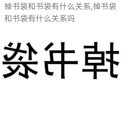 掉书袋和书袋有什么关系,掉书袋和书袋有什么关系吗