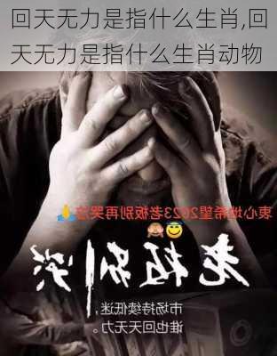 回天无力是指什么生肖,回天无力是指什么生肖动物