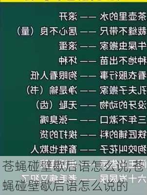 苍蝇碰壁歇后语怎么说,苍蝇碰壁歇后语怎么说的