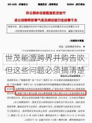 世茂能源跨界并购告吹 但这些问题必须搞清楚