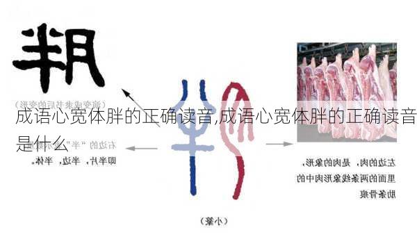 成语心宽体胖的正确读音,成语心宽体胖的正确读音是什么