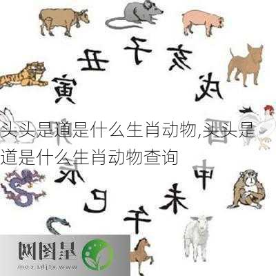 头头是道是什么生肖动物,头头是道是什么生肖动物查询