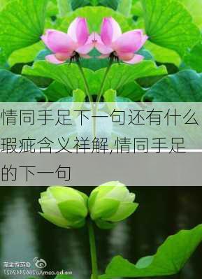 情同手足下一句还有什么瑕疵含义祥解,情同手足的下一句