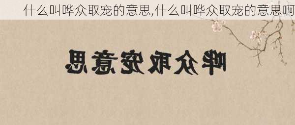 什么叫哗众取宠的意思,什么叫哗众取宠的意思啊