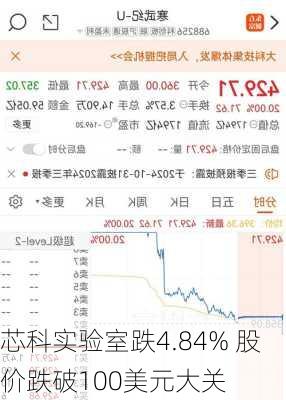 芯科实验室跌4.84% 股价跌破100美元大关