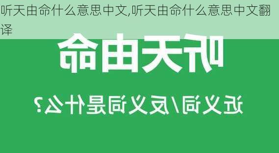 听天由命什么意思中文,听天由命什么意思中文翻译