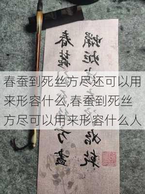 春蚕到死丝方尽还可以用来形容什么,春蚕到死丝方尽可以用来形容什么人