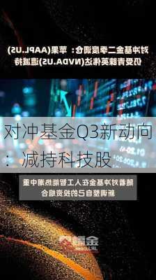 对冲基金Q3新动向：减持科技股