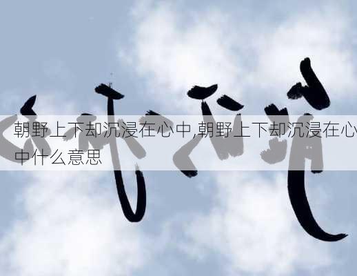 朝野上下却沉浸在心中,朝野上下却沉浸在心中什么意思