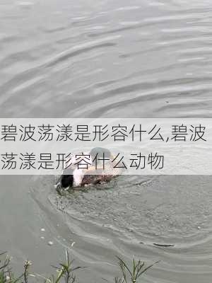 碧波荡漾是形容什么,碧波荡漾是形容什么动物