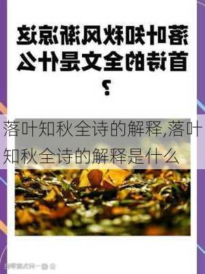 落叶知秋全诗的解释,落叶知秋全诗的解释是什么