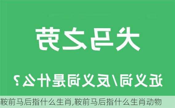 鞍前马后指什么生肖,鞍前马后指什么生肖动物