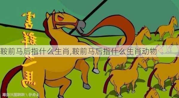 鞍前马后指什么生肖,鞍前马后指什么生肖动物