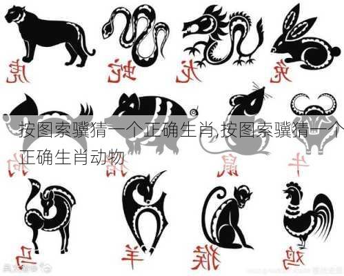 按图索骥猜一个正确生肖,按图索骥猜一个正确生肖动物