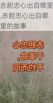 赤胆忠心出自哪里,赤胆忠心出自哪里的故事