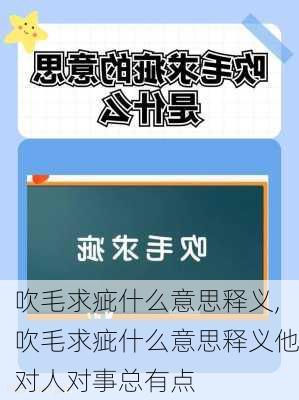 吹毛求疵什么意思释义,吹毛求疵什么意思释义他对人对事总有点