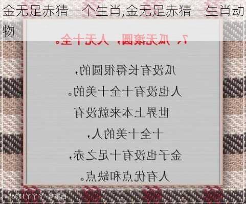 金无足赤猜一个生肖,金无足赤猜一生肖动物