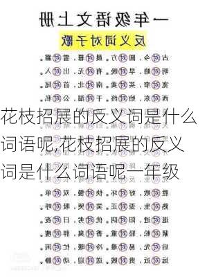 花枝招展的反义词是什么词语呢,花枝招展的反义词是什么词语呢一年级