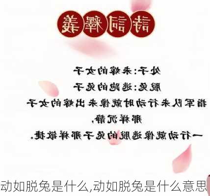 动如脱兔是什么,动如脱兔是什么意思