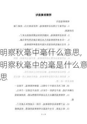 明察秋毫中毫什么意思,明察秋毫中的毫是什么意思