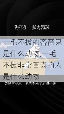 一毛不拔的吝啬鬼是什么动物,一毛不拔非常吝啬的人是什么动物