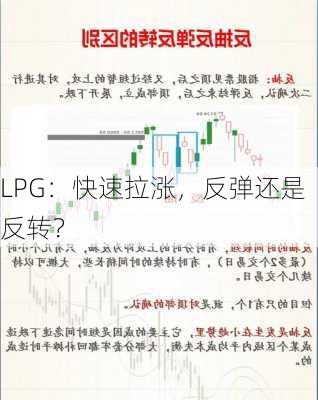 LPG：快速拉涨，反弹还是反转？