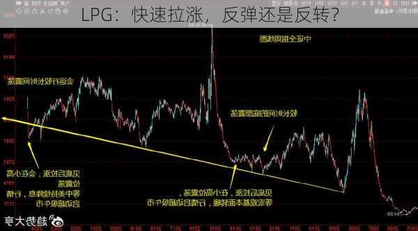 LPG：快速拉涨，反弹还是反转？