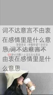 词不达意言不由衷在感情里是什么意思,词不达意言不由衷在感情里是什么意思