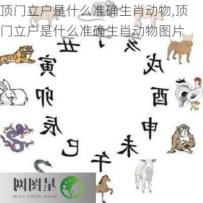 顶门立户是什么准确生肖动物,顶门立户是什么准确生肖动物图片