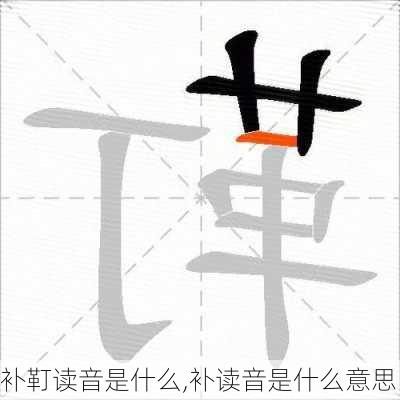 补靪读音是什么,补读音是什么意思