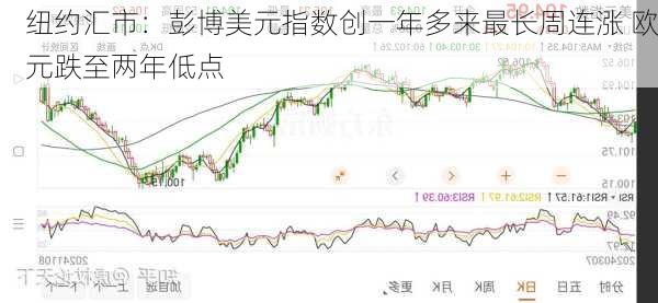 纽约汇市：彭博美元指数创一年多来最长周连涨 欧元跌至两年低点