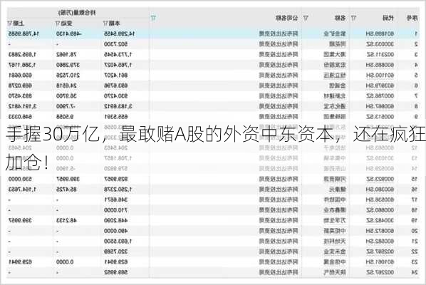 手握30万亿，最敢赌A股的外资中东资本，还在疯狂加仓！