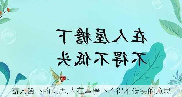 寄人篱下的意思,人在屋檐下不得不低头的意思