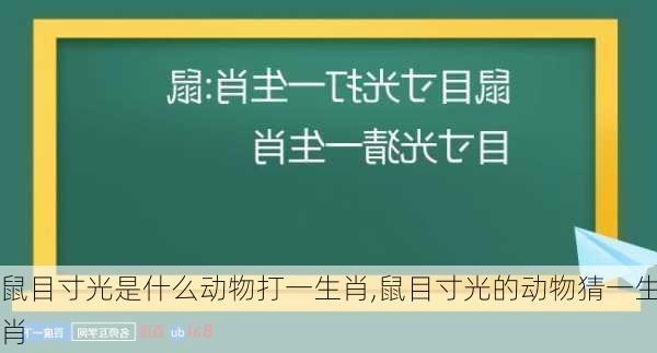 鼠目寸光是什么动物打一生肖,鼠目寸光的动物猜一生肖