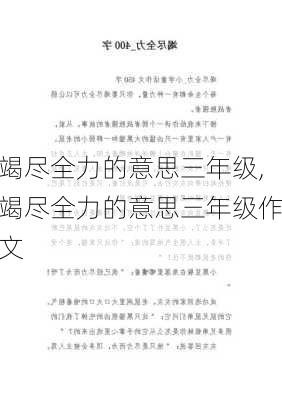 竭尽全力的意思三年级,竭尽全力的意思三年级作文