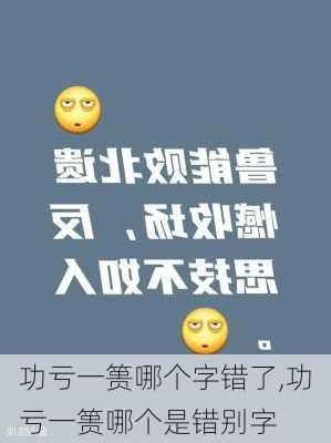 功亏一篑哪个字错了,功亏一篑哪个是错别字