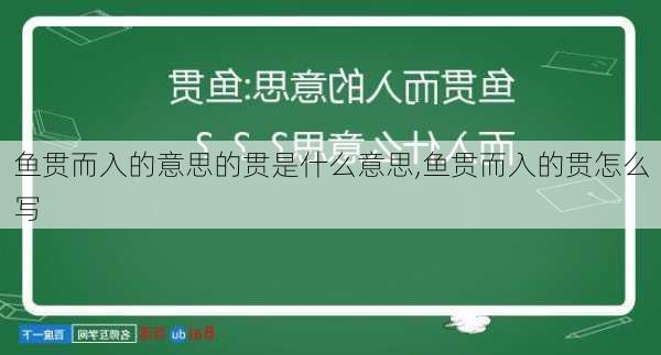 鱼贯而入的意思的贯是什么意思,鱼贯而入的贯怎么写