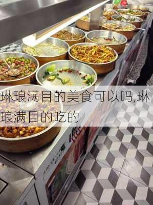 琳琅满目的美食可以吗,琳琅满目的吃的