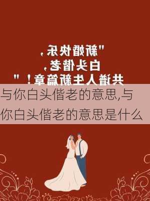 与你白头偕老的意思,与你白头偕老的意思是什么