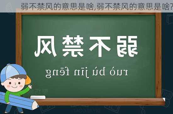 弱不禁风的意思是啥,弱不禁风的意思是啥?