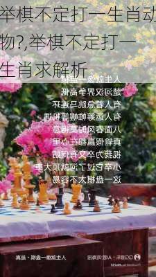 举棋不定打一生肖动物?,举棋不定打一生肖求解析