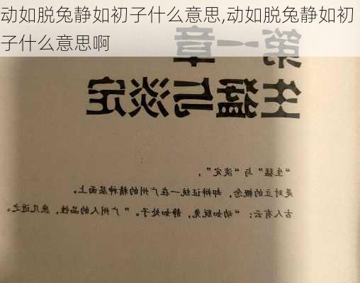 动如脱兔静如初子什么意思,动如脱兔静如初子什么意思啊