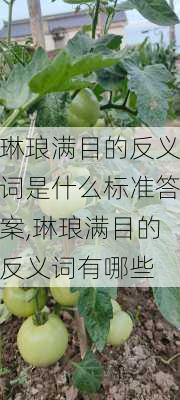 琳琅满目的反义词是什么标准答案,琳琅满目的反义词有哪些